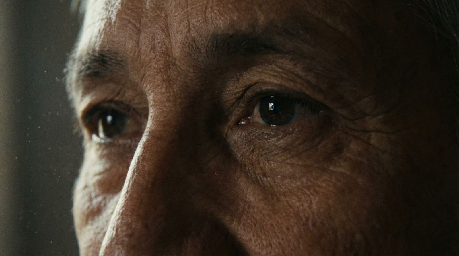 The Journey of Creation 3